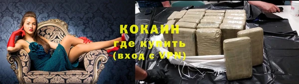 прущий лед Алзамай