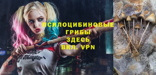 спайс Абинск