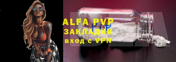 прущий лед Алзамай