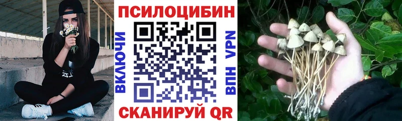 Псилоцибиновые грибы мицелий  наркота  Элиста 